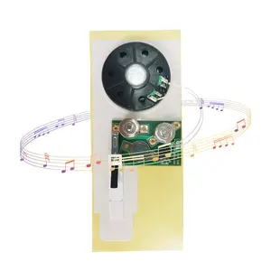 New arrival wholesale greeting card sound module pre recorded music ic chip for business greeting card