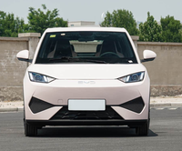Voiture électrique BYD Seagull EV neuve, voiture électrique BYD, véhicules à énergie nouvelle