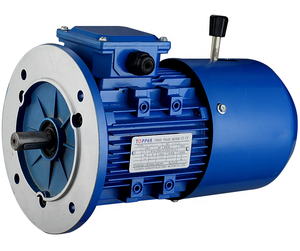 <span class=keywords><strong>Moteur</strong></span> à induction pour moto électrique 4 HP 3KW 3 phases 415V Wound-<span class=keywords><strong>Rotor</strong></span> 50Hz Fréquence - Product Image 2