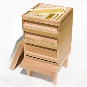 Wholesale Beehive Kit Beekeeping Red Cedar Wood UK British Standard National Bee Hive and Frame with Foundation