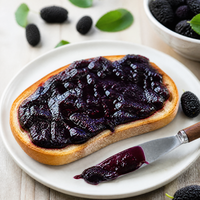 Lotlong Groothandel Fabrieksdirect Bulk Moerbeienjam met Fruitglucosestroop 150g voor Restaurant Desserts