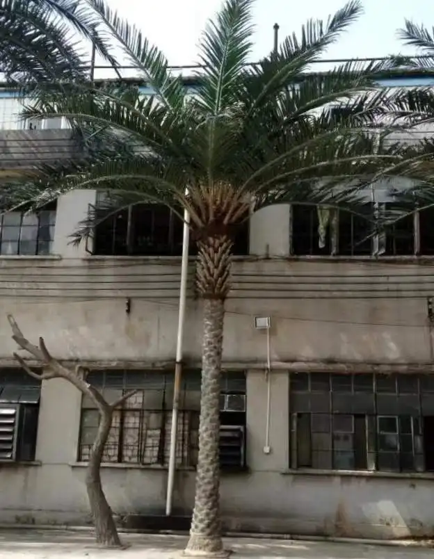 Nuovi prodotti palme da cocco artificiali palma reale all'aperto per la decorazione esterna
