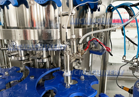 Meilleurs prix pour la ligne de production automatique de remplissage de boissons gazeuses, machine de remplissage de jus