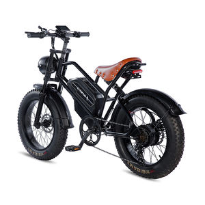 Bicicletta Elettrica Fat Tire da 500W e 20 Pollici Popolare in UE/Regno Unito con Motore al Mozzo Posteriore da 48V Luce LED Corno 7 Velocità per Ciclismo in Montagna Batteria al Litio - Product Image 3