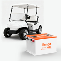 Baterai Lithium Lifepo4 TEMGO 48V 100AH untuk Kit Golf Cart dengan Charger 18A dan Monitor Sentuh, Dilengkapi BMS 200A dan Bluetooth