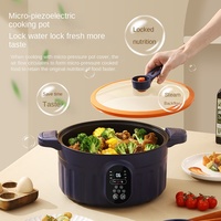 Marmite Électrique Portable 4L 1300W en Acier Inoxydable Antiadhésive avec Contrôle Numérique et Couvercle en Verre Trempé, Classe Énergétique A, Garantie 5 Ans - Offre Spéciale