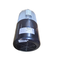 Moteur de palan Konecranes 52290440 MF10X-106N163P85003E 4,5 kW 380 V SWF CXT, pièces de grue, garantie 6 mois, 10 kg