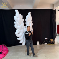 Ailes de papillon gonflables personnalisées de 2,5 m avec souffleur, accessoire de défilé et de fête, ballon lumineux à LED