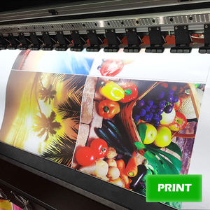 Vinilo Autoadhesivo Imprimible con Tinta Eco-Solvente, Removible, de 100 micras, Blanco, Material Publicitario, Disponible Todo el Año, Artículo Popular - Product Image 5