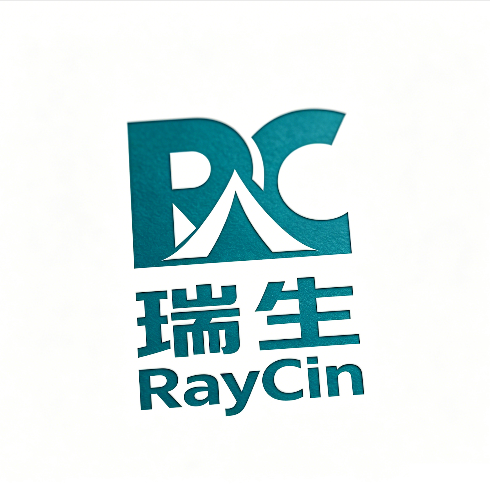 Hainan Ruisheng Technology Co., Ltd. logo