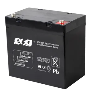 ESG Giá Tốt Tấm Máy Làm 12V 55Ah Kín Chì-axit-Pin Xe Máy Chì Axit Pin 12V