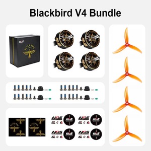 Motor sin Escobillas de Metal BlackBird V4 2307 2307.3 1960KV 2060KV 6S 5" - Product Image 5