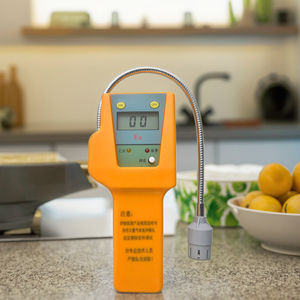 DST Portable Wireless Probe <span class=keywords><strong>Pump</strong></span> Inland LPG Propan Stickstoff Refeger ent Natural Combustible Gas Leak Detector - Product Image 2