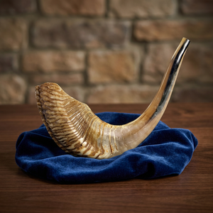 Shofar de Cuerno de Carnero Ecológico, Pulido, Acabado Natural, Sin Olor, Artículo de Arte y Colección - Product Image 3