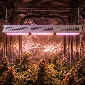 Luces LED Lineales de Cultivo de 150w AC110V Personalizables con Espectro Rojo Profundo de 660nm para Cultivo de Tejidos en Laboratorio y Crecimiento de Plántulas - Product Image 4