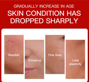 Ensemble de soins de la peau de marque privée Kit de soins de la peau radiant à la grenade avec acide hyaluronique hydratant et ingrédients peptidiques <span class=keywords><strong>anti</strong></span>-rides - Product Image 4