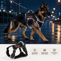 Ausbruchsicheres Reflektierendes Hundegeschirr und Leinenset mit AirTag-Tasche, Gepolstertem Griff und Bauchgurt für Großhandel OEM ODM