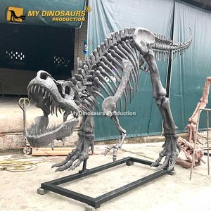 My Dino SDS009 Museo <span class=keywords><strong>Real</strong></span> Esqueleto de <span class=keywords><strong>Tiranosaurio</strong></span> <span class=keywords><strong>Rex</strong></span> - Product Image 4