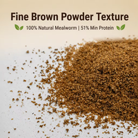 SINO CROWN Aliment Séché 100% Pur Riche en Protéines pour Oiseaux Sauvages, Animaux de Compagnie, Poulets, Lézards, Reptiles, Nourriture pour Poissons, Additif en Poudre de Vers de Farine Jaunes