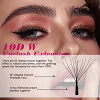 Extensions de cils en grappes 10D en gros, extensions de cils segmentées DIY 0,07 mm, courbure C D DD, longueurs mixtes, marque privée OEM ODM