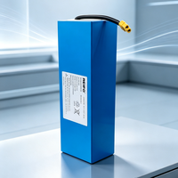 LiNiCoMn Vollständig Sicherheitsgeschütztes BMS E-Fahrrad-Akku Tragbarer Wiederaufladbarer Effizienter Stabiler Lithium-Ionen-Akkupack 48V 12Ah
