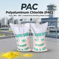 Produits chimiques pour le traitement de l'eau, CAS n° 1327-41-9, chlorure de polyaluminium (PAC) en poudre 30%, prix de gros du fabricant avec certification NSF