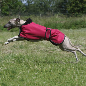 Custom <b>Dog</b> Coat <b>Waterproof</b> Winter <b>Jacket</b> Winter Coat for Large <b>Dogs</b> Raincoats Warm Fleecy Lining Reflective Piping <b>Dog</b> Coat - Product Image 6