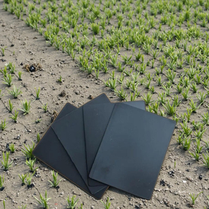 <span class=keywords><strong>HDPE</strong></span> geomembranes cho ao đập cá ngoài trời 0.75mm-3mm tùy chọn độ dày thiết kế công nghiệp phong cách chống UV Pond <span class=keywords><strong>Liner</strong></span> - Product Image 2