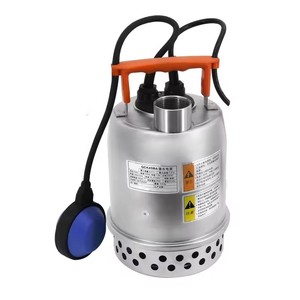 Pompe de puisard submersible automatique en acier inoxydable avec interrupteur à flotteur pour le drainage des eaux de citerne - Product Image 1