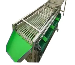 ماكينة تصنيف حجم التاريخ البرقوق سهلة التشغيل بجودة عالية ، ماكينة الفرز الأوتوماتيكية لفاكهة العنب البري والتمر في المملكة العربية السعودية
