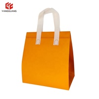 Sac Isotherme Six Canettes Robuste en Non-Tissé avec Logo et Taille Personnalisés, Isolation Thermique en Feuille d'Aluminium, pour Vente en Gros