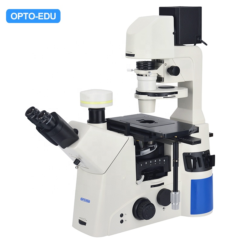 OPTO-EDU A14.1096 Semi-APO Trinocular 12V100W Halogen Inverted Laboratory Microscope