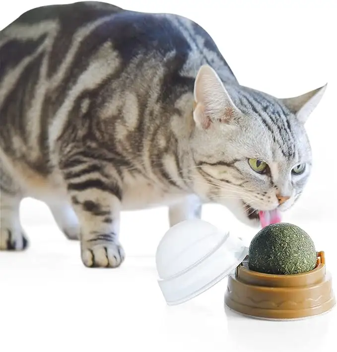 Mainan kucing bola dapat dimakan ujung kucing tusukan bola gulir