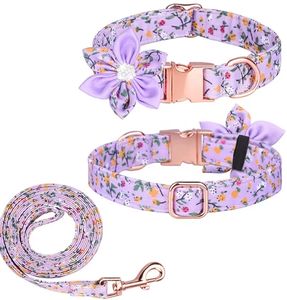 Accesorios para perros de alta calidad, conjuntos de collar y correa para perros personalizados de lujo con lazo de fijación - Product Image 6