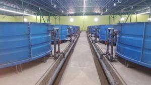 2019 pas cher haute résistance hors sol en fibre <span class=keywords><strong>de</strong></span> verre <span class=keywords><strong>piscine</strong></span> pisciculture réservoir Aquarium étang F07316 - Product Image 6