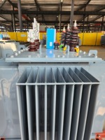 Transformateur de distribution triphasé à économie d'énergie, type huile, 6 kV-33 kV, 1000 kVA