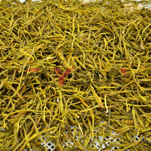 Machine de séchage à pompe à chaleur pour légumes (pochouli) en acier inoxydable 304, avec moteur PLC, déshydrateur alimentaire électrique haute capacité – Offre Spéciale - Product Image 3