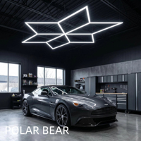 Système d'éclairage LED plat en plastique électrique POLAR BEAR PB-ZT6110 |   Éclairage de studio compact à 9 grilles |   Lampes de Détail Professionnelles |   Haute qualité
