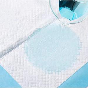 Hyna Medical <b>Nursing</b> <b>Pad</b> 60x60cm Adult Use Disposable Incontinence <b>Pad</b> 15pcs - Product Image 3