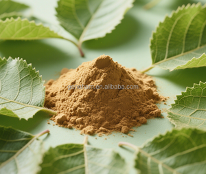 食品グレード1% DNJ白桑の葉エキス粉末バルク注文割引迅速配送ドラムまたはボトル入り - Product Image 6
