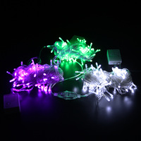 PVC-Material LED-Lichterketten Festliche Weihnachts- & Hochzeits-Dekorationsbeleuchtung 36V