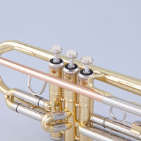 Taishan Brand High Quality Wholesale Brass Bb Key Gold Lacquer Trumpet for Performance