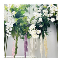 Herbe de queue de renard Feiyang de haute qualité, fleurs d'amarante pour les décorations de Noël, de la Saint-Valentin, de la remise des diplômes et du Nouvel An
