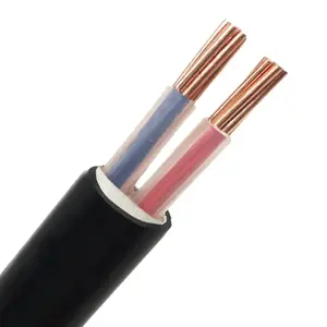 低電圧ケーブル0.6/1KV2コア2x16mm2 YJV Pvc/Xlpe絶縁銅電源ケーブル