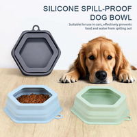 Bol pliable anti-éclaboussures en silicone pour animaux de compagnie, pliable, portable, nettoyant pour les recettes, pour les voyages, l'extérieur, la nourriture
