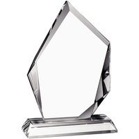 Elor AWARD a WORLD Médailles trophées acryliques personnalisables Plaques Impression UV Prix de reconnaissance portables pour l'employé étoile du mois