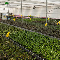 Grillage soudé en acier GT pour bacs de semis, serres et bancs roulants