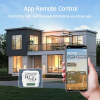 Tuya WiFi Zigbee Module de commutation intelligent Disjoncteur de commutation électrique 1/2/3/4Gang Module de commutation d'éclairage