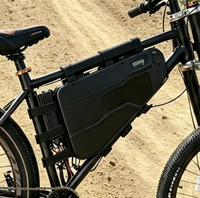 Elektrifizieren Sie Ihr Fahrrad: Verabschieden Sie sich von Bergermüdigkeit, begrüßen Sie unbegrenzte Reichweite. Solid-State-Dreiecksbatterie 48V-72V 1000 Zyklen