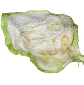 サマースカッシュ自然乾燥生スライスサマースカッシュフルーツカット食品用 - Product Image 1